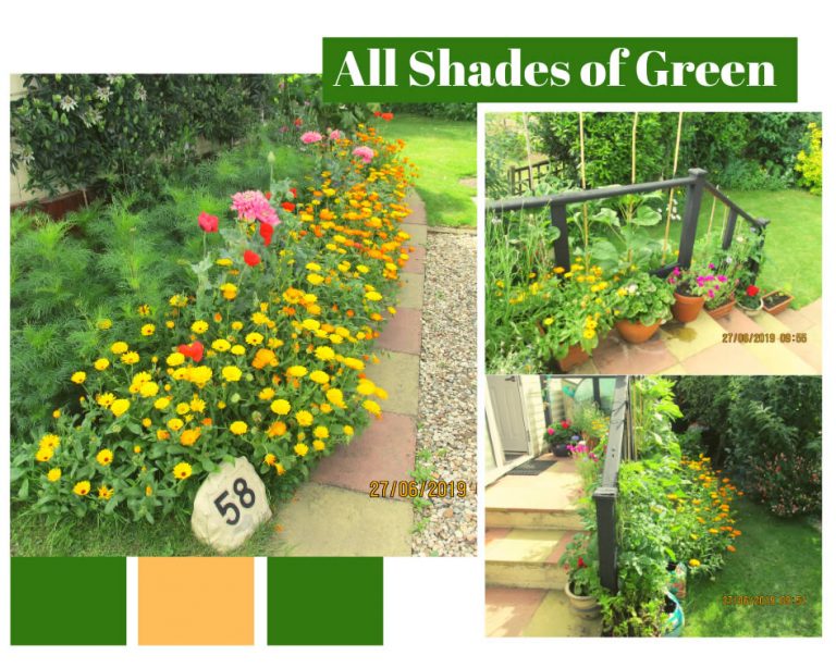 All Shades of Green Holiday Blog Banner