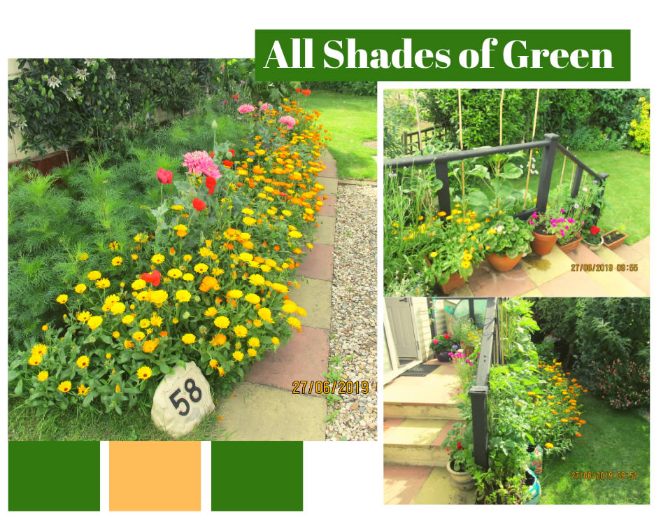 All Shades of Green Holiday Blog Banner