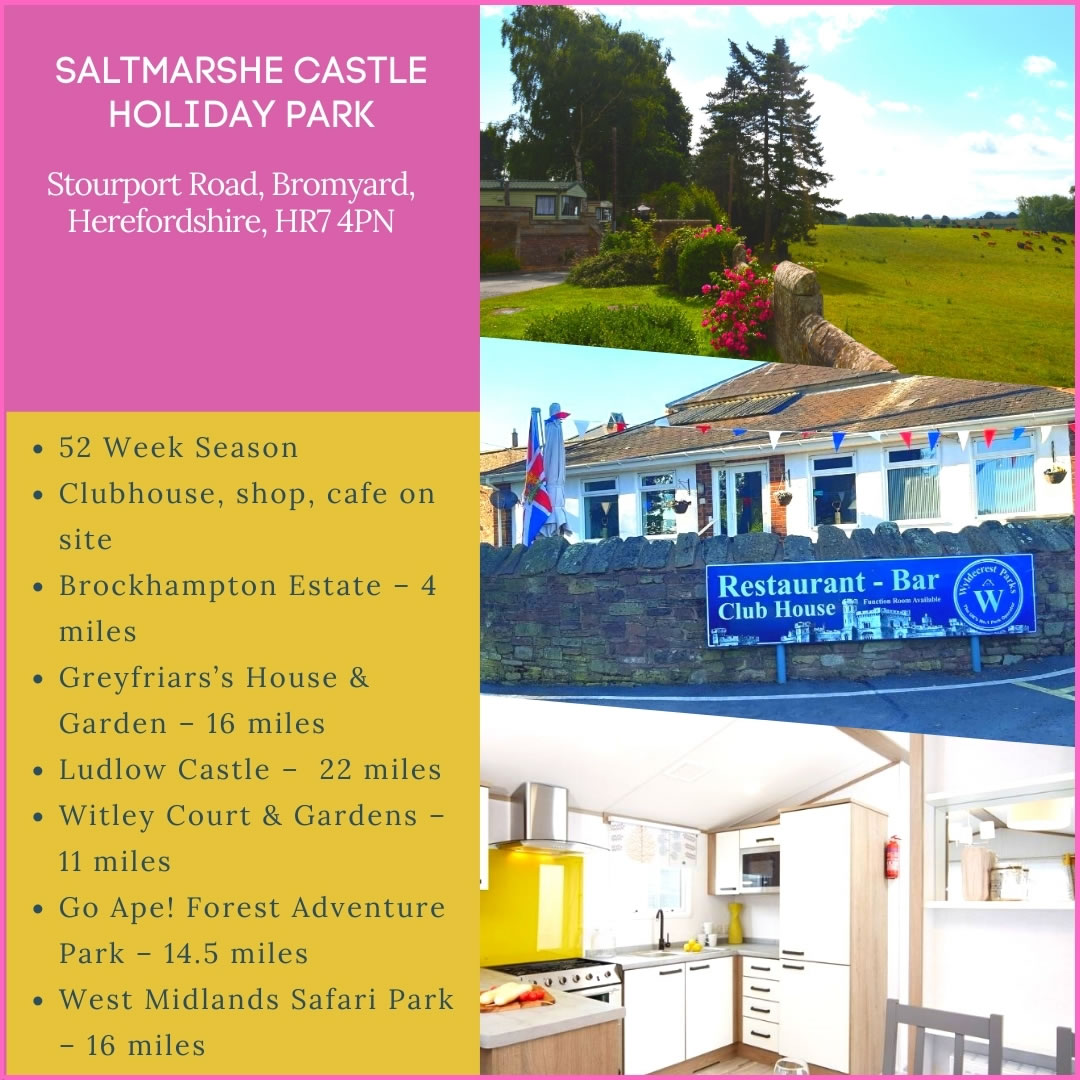 Saltmarshe Castle Holiday Park Ad Banner