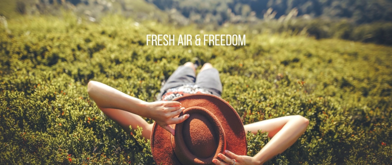 fresh air and freedom banner