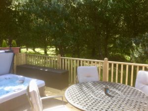 Orchid Lodge Holiday Home in felmoor Park Decking 2