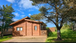 13172 Log Cabin in Felton Exterior