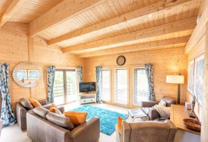 13172 Log Cabin in Felton Living..