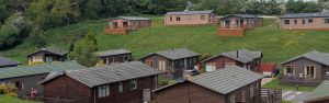 What Can You Do on a UK Holiday Park in Autumn